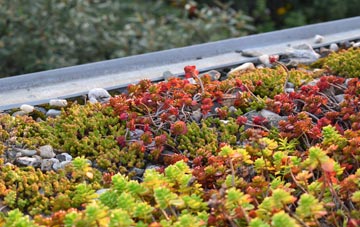 the cost of Aislaby green roof installation